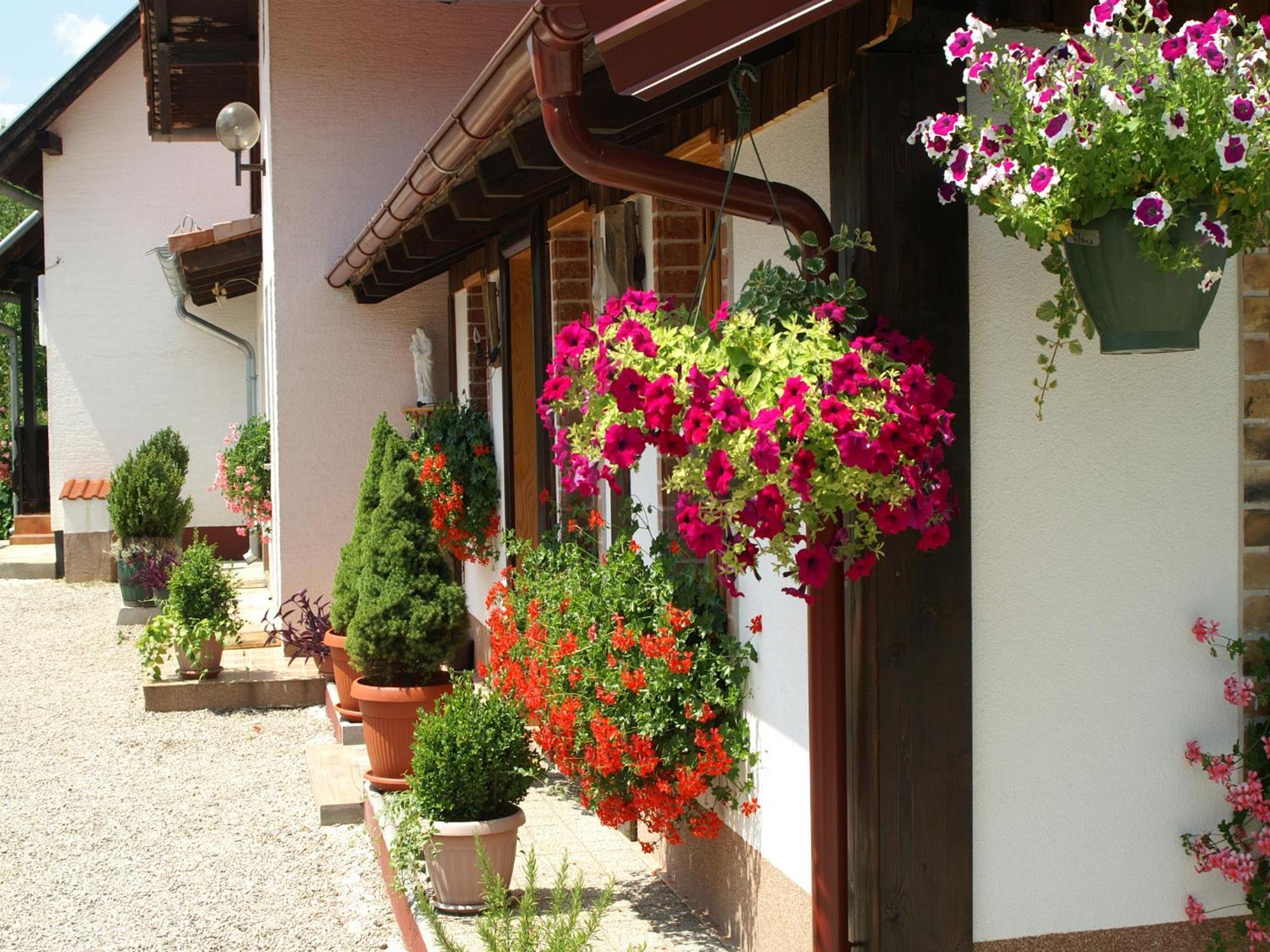 Bed & Breakfast Helena Bed and Breakfast Grabovac  Habitación foto